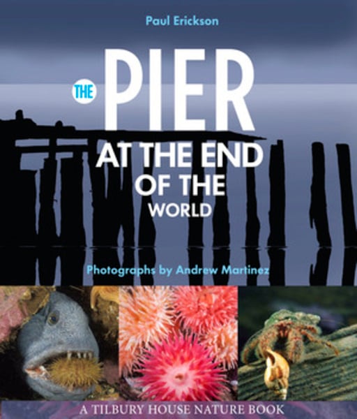 Pier At The End Of The World, The