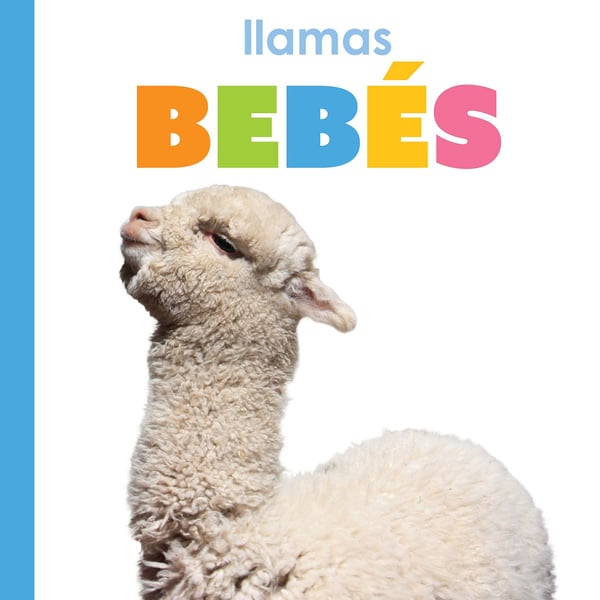 Llamas Bebes (Baby Llamas)