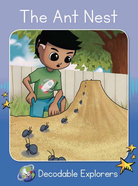 Ant Nest, The