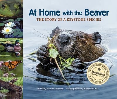 At Home With The Beaver: The Story Of A Keystone Species