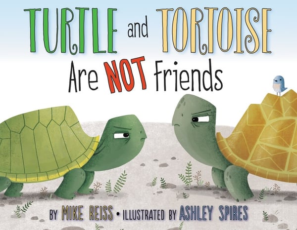 Turtle And Tortoise Are Not Friends