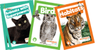 Decodables By Jump Complete Collection