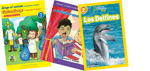 Take Home Pack, Grade 3 Below Level J-M (Spanish)