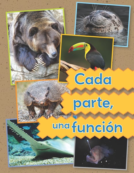 Cada Parte, Una Funcion (Each Part A Function)