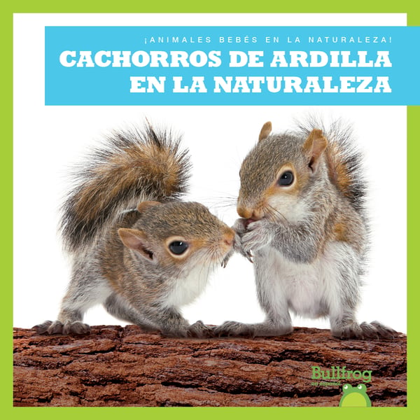 Cachorros De Ardilla En La Naturaleza (Squirrel Kits In The Wild)