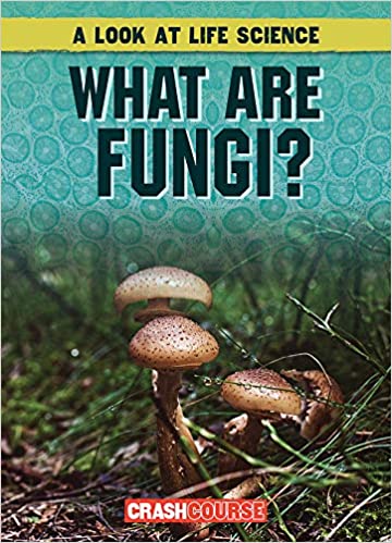 What Are Fungi?
