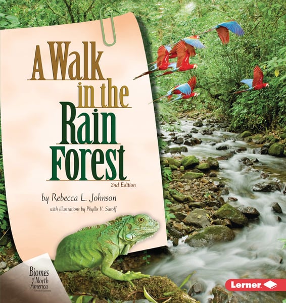 Walk In The Rain Forest