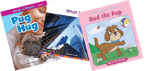 Phonics Take Home Pack, Kindergarten Short U