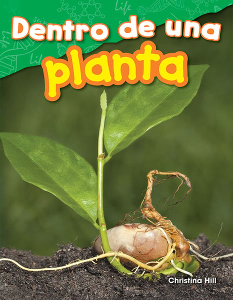 Dentro De Una Planta (Inside A Plant)