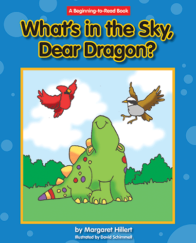 What's In The Sky, Dear Dragon?