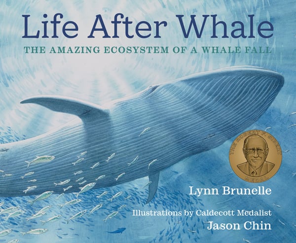 Life After Whale: The Amazing Ecosystem Of A Whale Fall