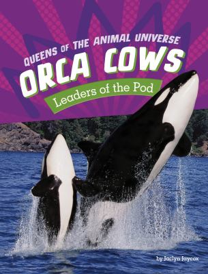 Orca Cows: Leaders Of The Pod