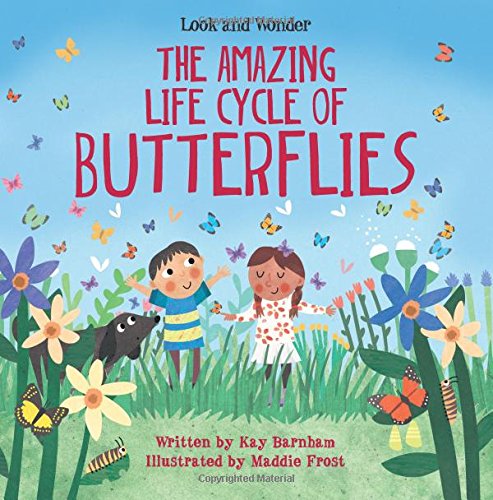 Amazing Life Cycle Of Butterflies, The