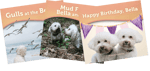 MyCodables: Bella & Rosie