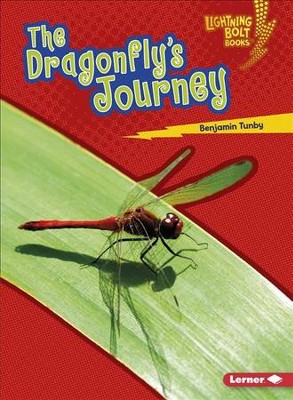 Dragonfly's Journey, The