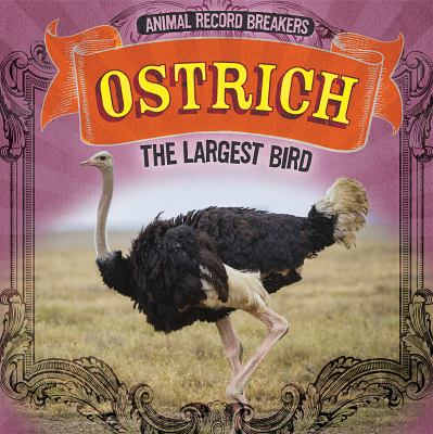 Ostrich: The Largest Bird