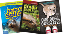 Below Level High Interest Nonfiction (R-V) Grade 6
