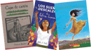 NYC $500 Spanish Library Grade 8