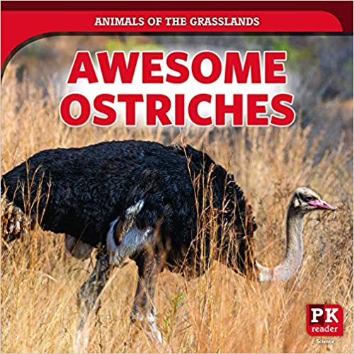 Awesome Ostriches