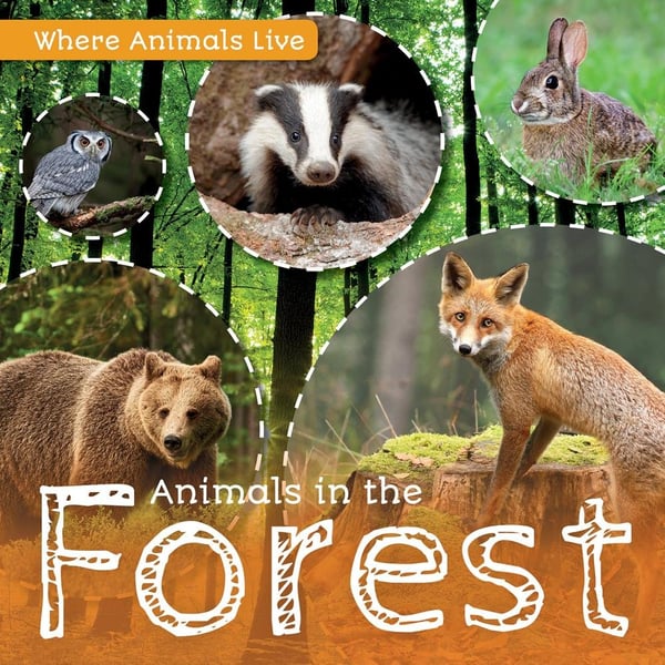 Animals In The Forest