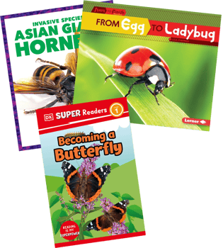 Level L Nonfiction Insects & Spiders