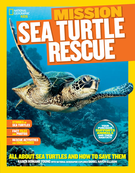 Sea Turtle Rescue