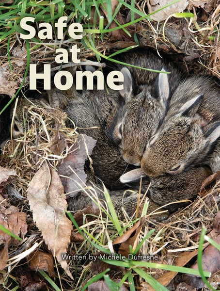 Safe At Home