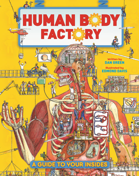 Human Body Factory: The Nuts And Bolts Of Your Insides, The