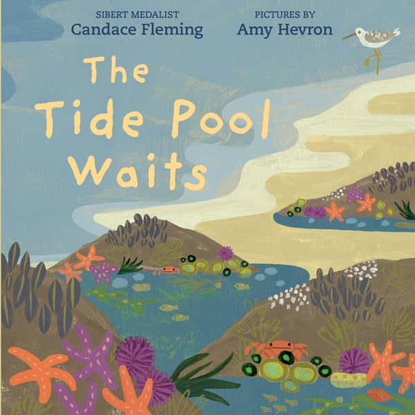 Tide Pool Waits, The