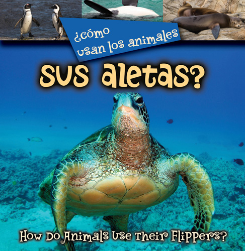 Como Usan Los Animales Sus Aletas? (How Do Animals Use Their Flippers?)
