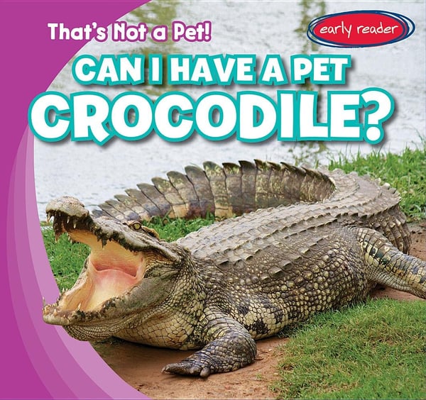 Can I Have A Pet Crocodile?