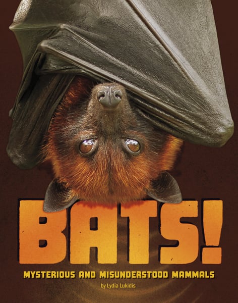 Bats! Mysterious And Misunderstood Mammals