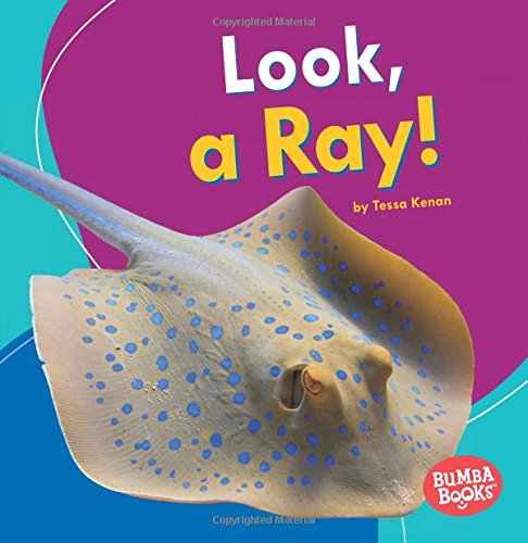 Look, A Ray!