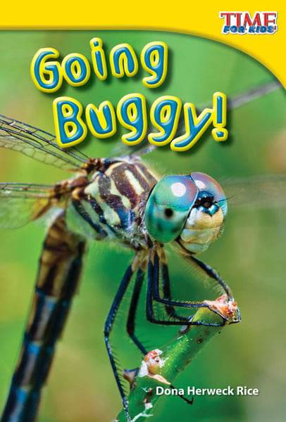 Going Buggy