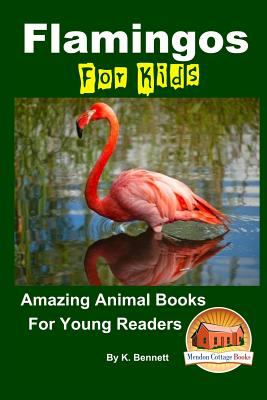Flamingos For Kids