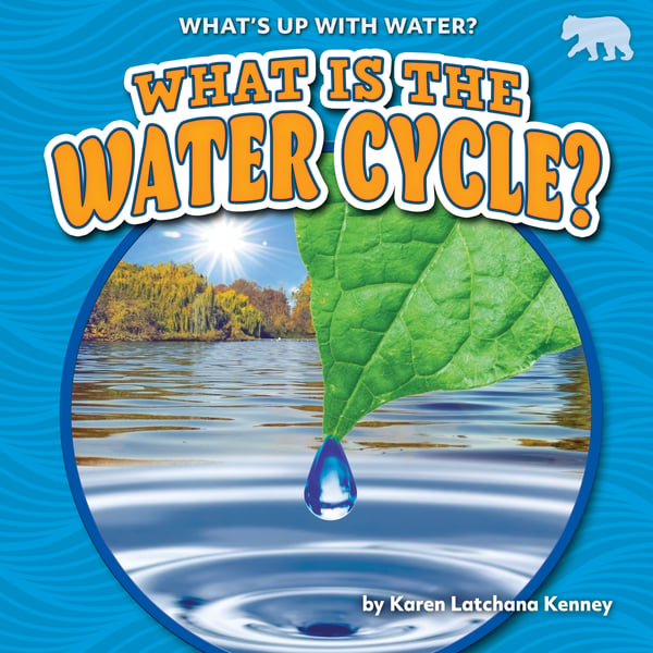 What Is The Water Cycle?