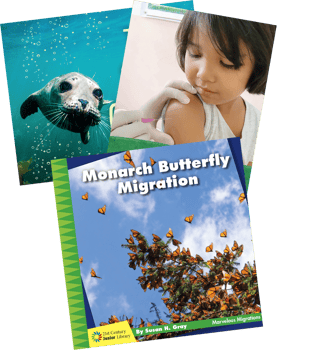 Informational Science (N-P) Grade 3