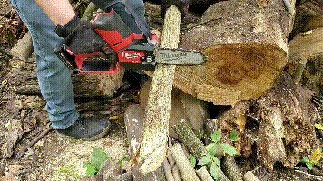 GIF-1.gif