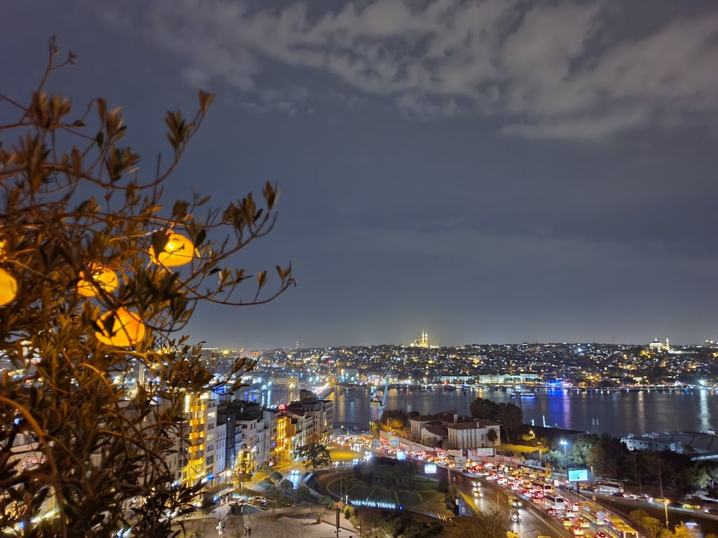 Monkeyistanbul