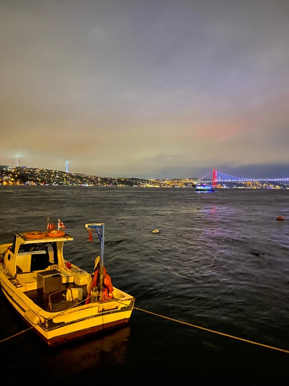 Mira Balık
