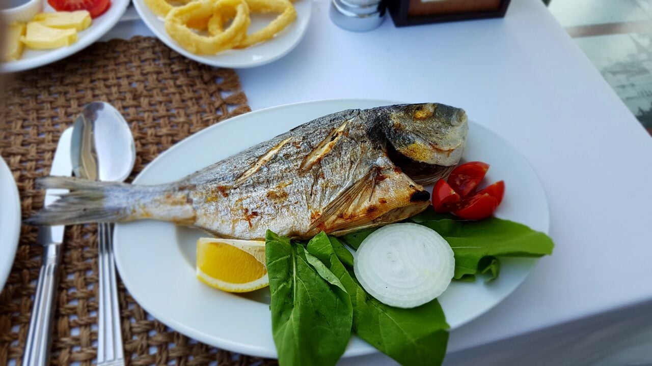 Yeniköy kavak balıkçısı
