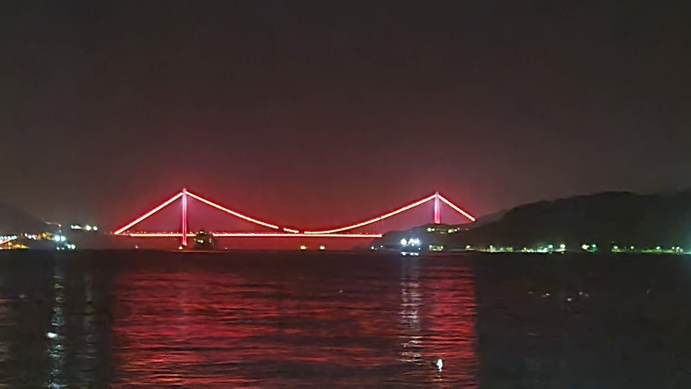 Therapia Boğaz Balık