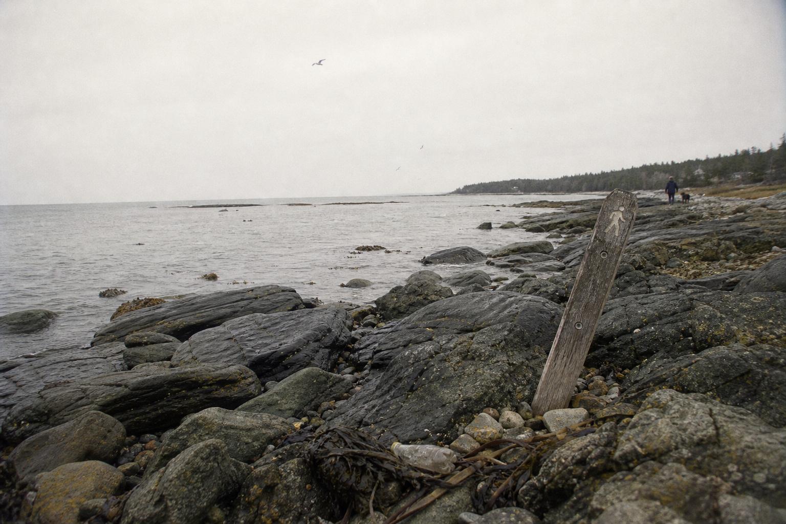 A rocky coastline on a flat, overcast day with muted color.