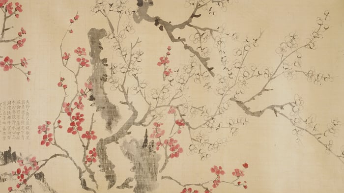 White and Red Plum Blossom