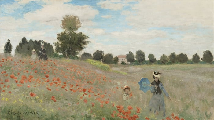Poppy field