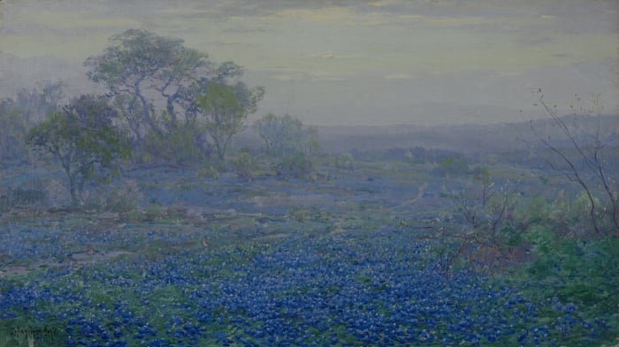 A Cloudy Day, Bluebonnets