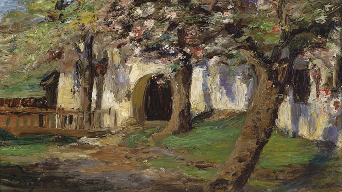 Blooming Apple Trees