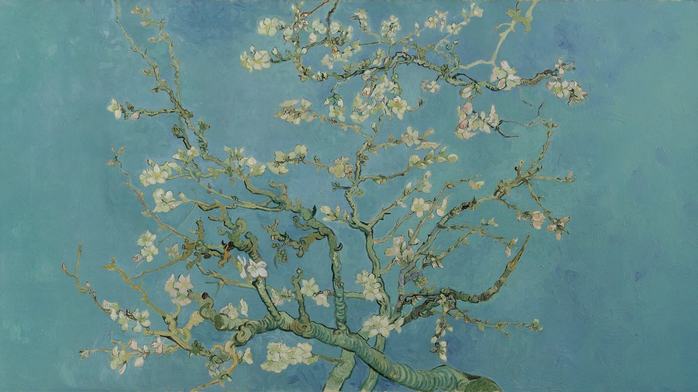 Spring & Blossoms