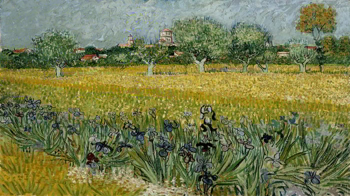 Field with Flowers near Arles