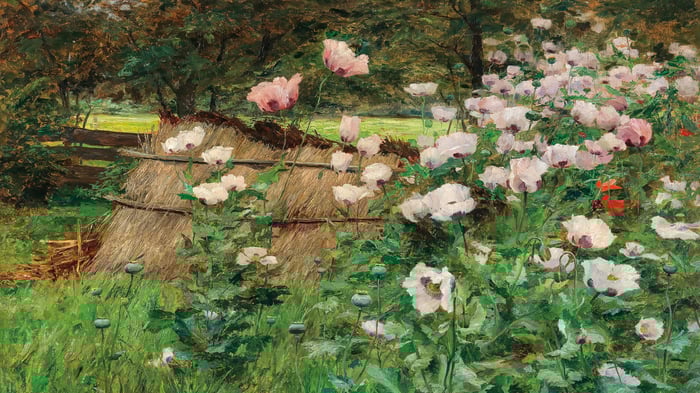 In the farmer_s garden